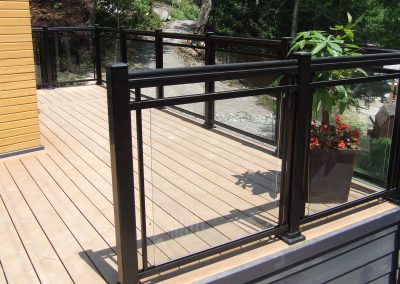 Glass with dlb hand rail
